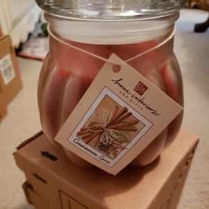 Home interiors cinnamon spice med candle